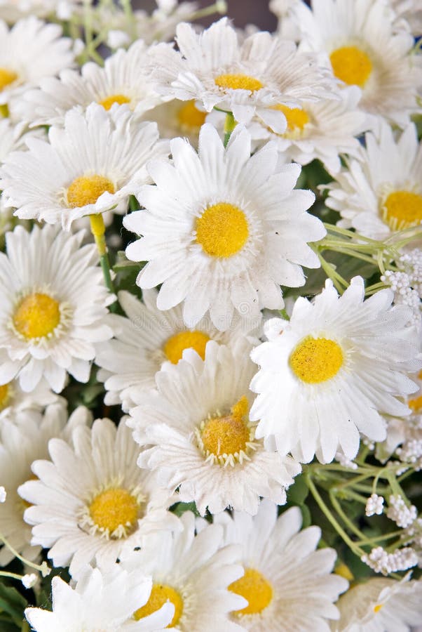 White silk daisies stock image. Image of fake, daisies 6829313