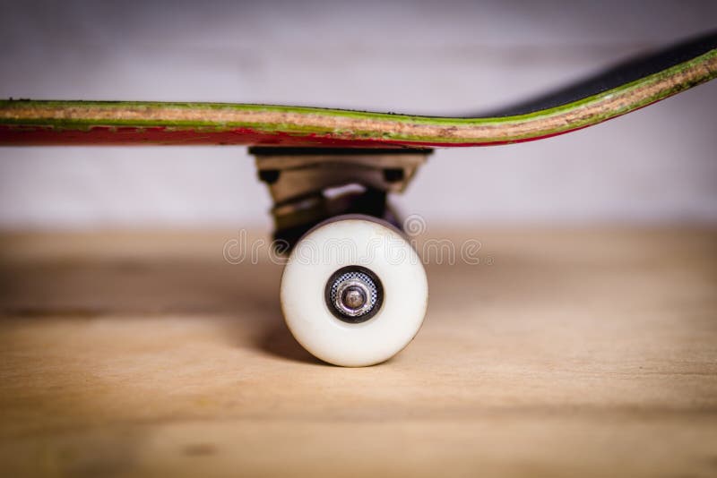 White Skateboard Wheels and Trucks Stock Image Image of sport