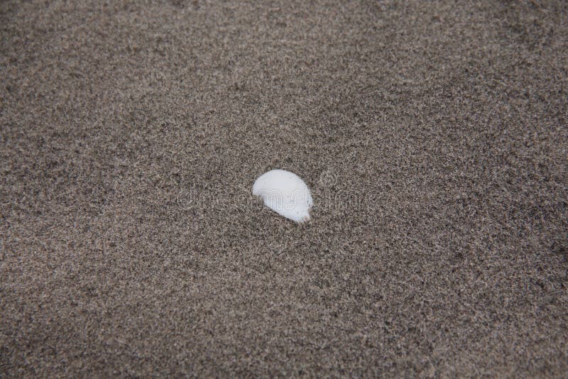 A snail in the sand royalty free stock image