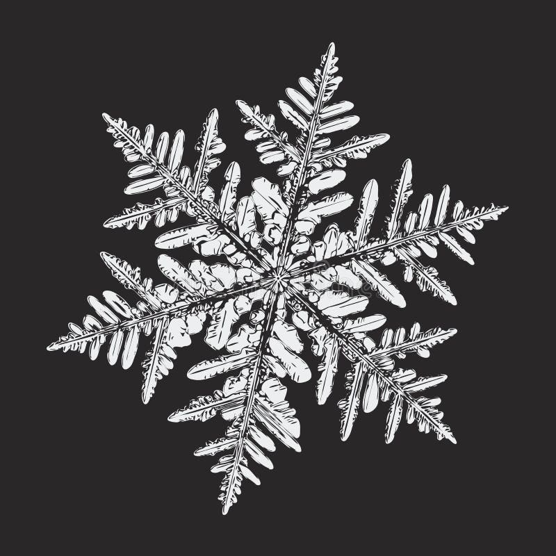 White Snowflake On Black Background Stock Illustration Illustration