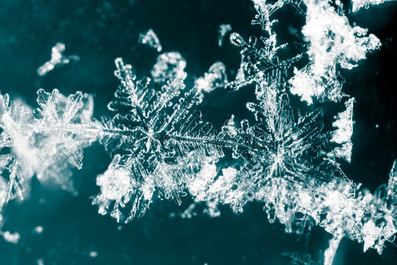 White Snowflake On A Black Background Stock Image Image