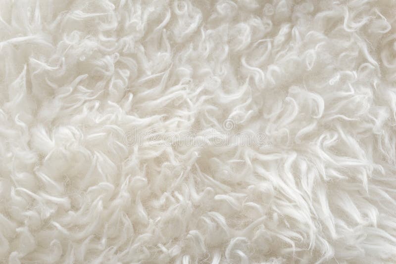 White soft wool texture background, seamless cotton wool, light natural sheep wool, close-up texture of white fluffy fur, wool wit
