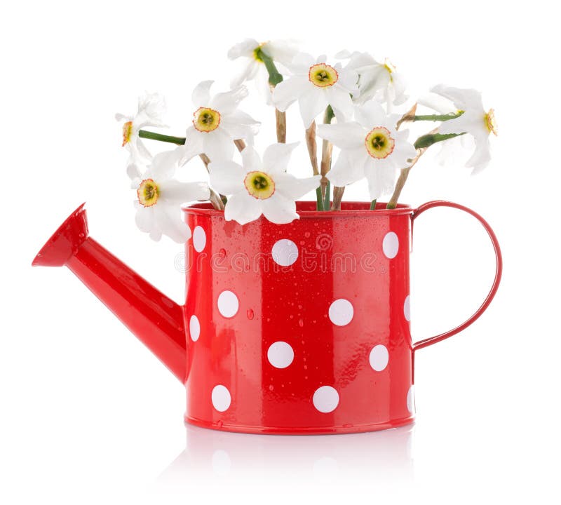 White Spring Flowers in Red Vase Stock Image - Image of stem, nature ...