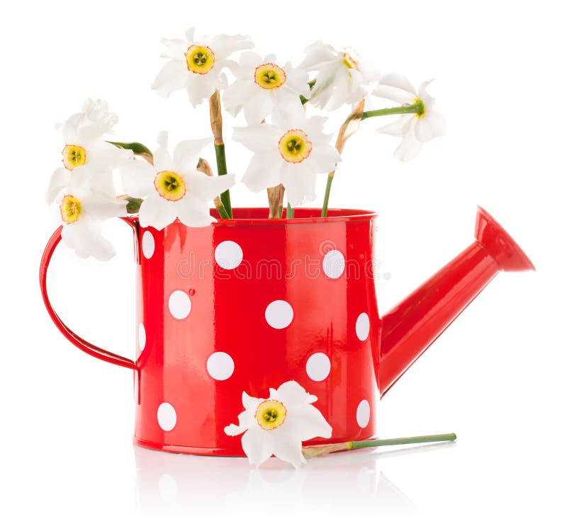 White Spring Flowers in Red Vase Stock Image - Image of stem, nature ...