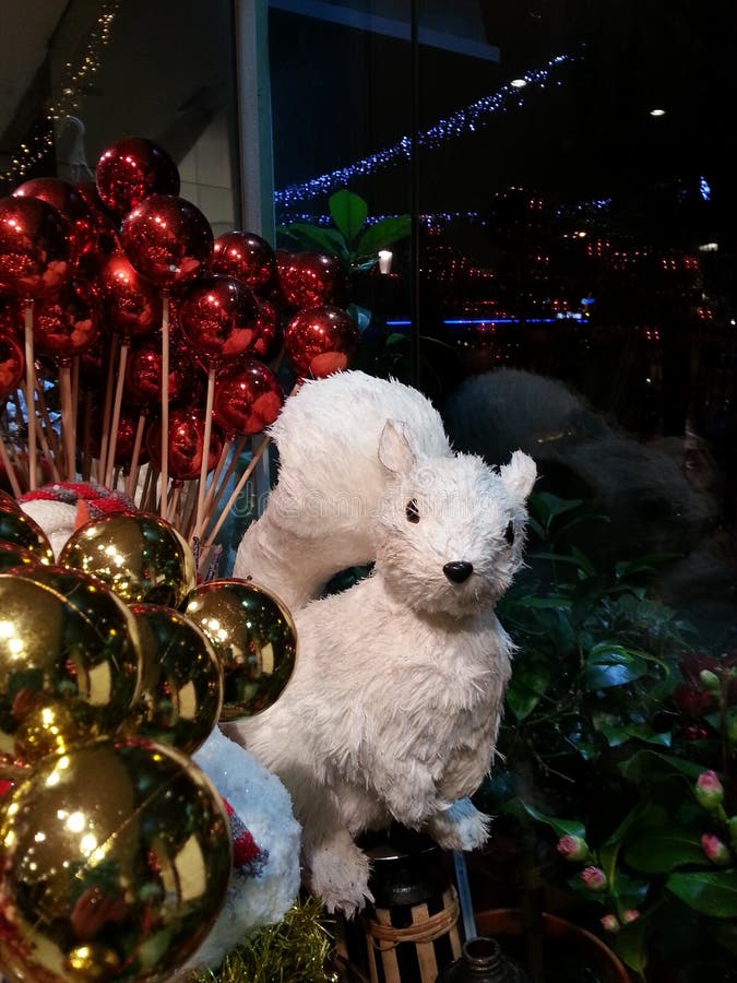 White Squirrel among the Christmas Decorations Stock Photo Image of
