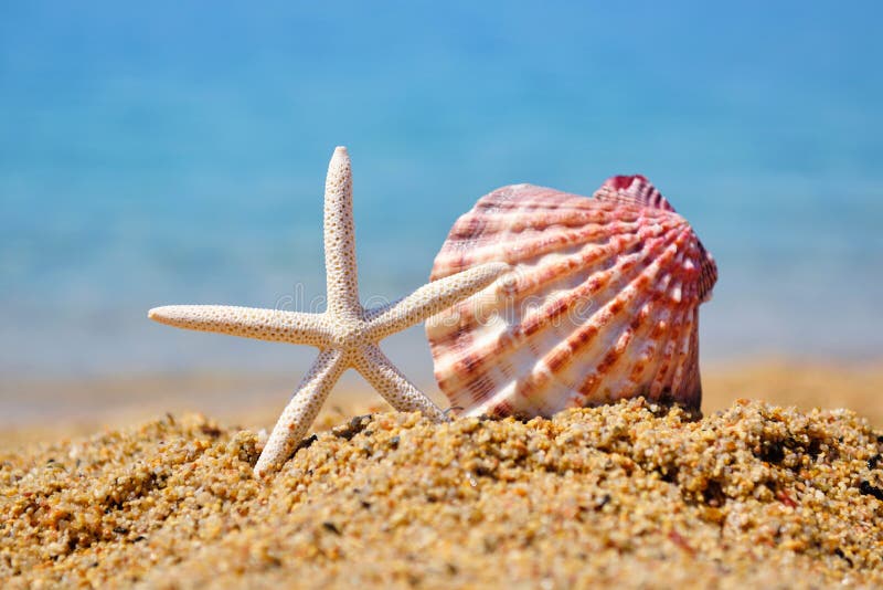 Unduh 77+ Beach Wallpaperflare Terbaru Gratis