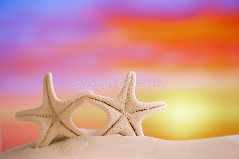 White starfish with sunrise sky on white sand beach royalty free stock photo White starfish with sunrise sky on white sand beach royalty free stock photo