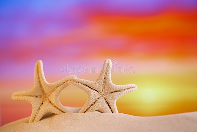 White starfish with sunrise sky on white sand beach