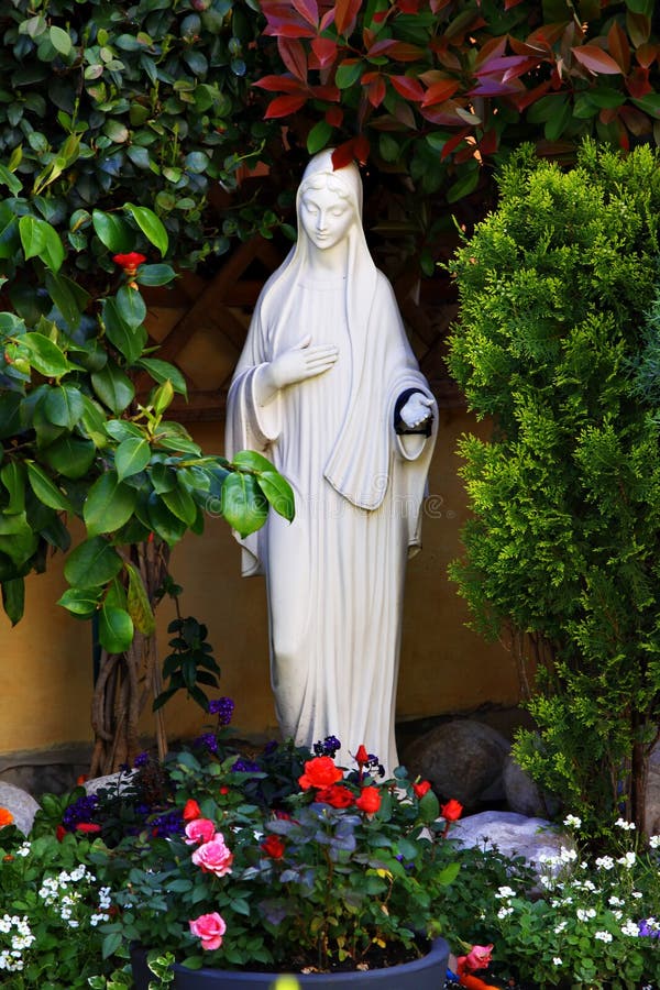 197 Virgin Mary Roses Stock Photos - Free & Royalty-Free Stock Photos from Dreamstime 197 Virgin Mary Roses Stock Photos - Free & Royalty-Free Stock Photos from Dreamstime