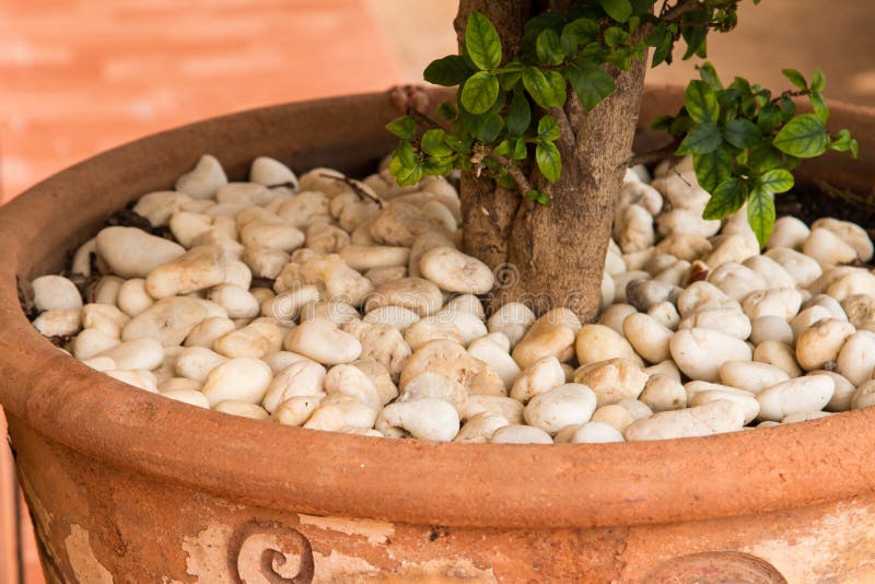 White stones in pots stock image. Image of garden, aerial 73565285