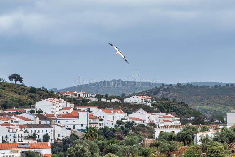 White stork flying over the river Rio Guadiana at Mertola, Algarve in Portugal