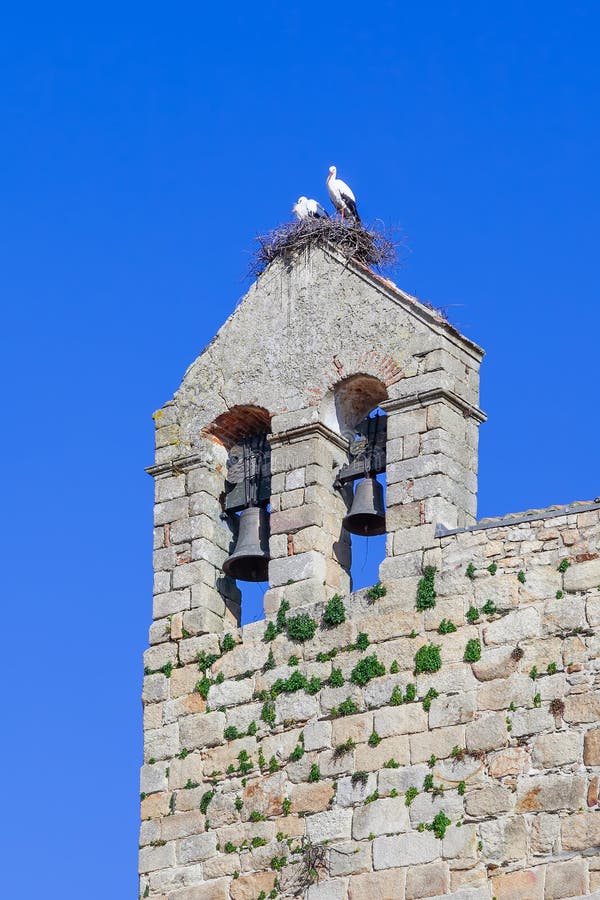 White Stork nest with the couple on it, on top of the belfry of the Flor da Rosa Monastery.