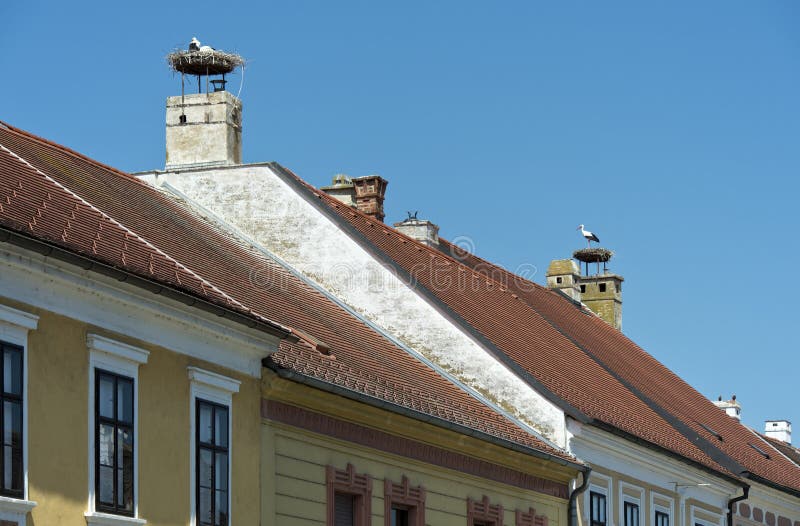 White storks (Ciconia ciconia) at the nest on a chimney, Rust, Burgenland, Austria