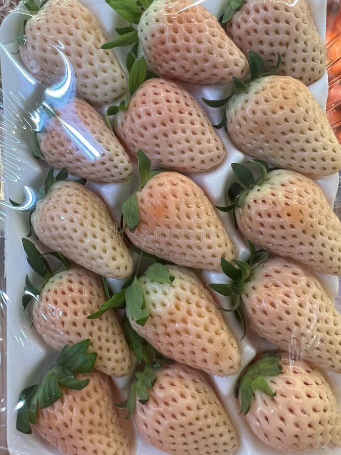 Japanese white strawberry stock image. Image of cuisine 269552687