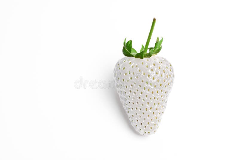 White Strawberry