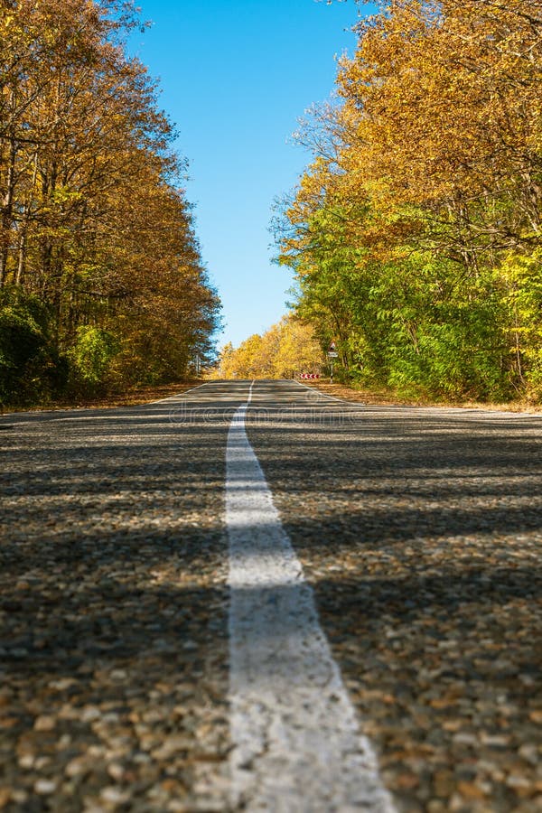 A White Stripe Of Road Markings On An Asphalt Highway At The Edges Of