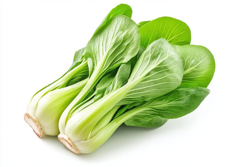 On a white surface, an image of a bunch of lettuce is displayed, and a bunch of lettuce is also on a white surface stock image