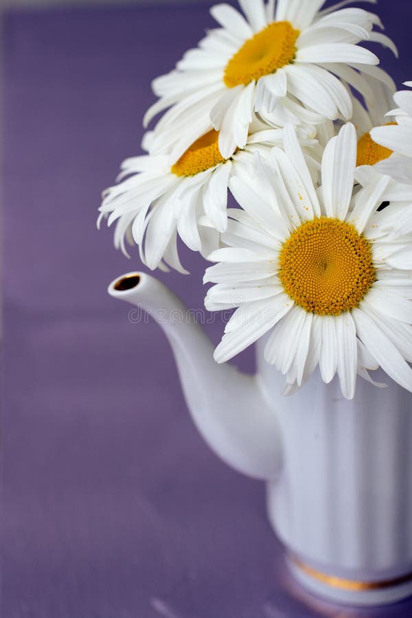 White Teapot with Bouquet of Healing Flowers Stock Photo Image of
