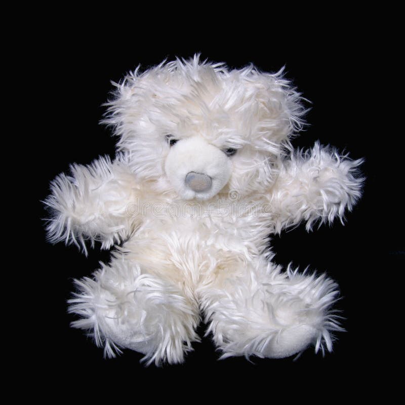 White Teddy Bear stock image. Image of cuddly, teddy, fluffy - 1482287