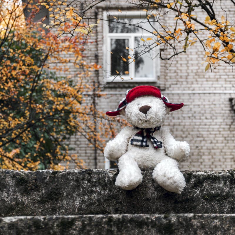 A white teddy bear in a red hat and scarf sits on a stone staircase against the background of a white brick house and smiles. stock images A white teddy bear in a red hat and scarf sits on a stone staircase against the background of a white brick house and smiles. stock images