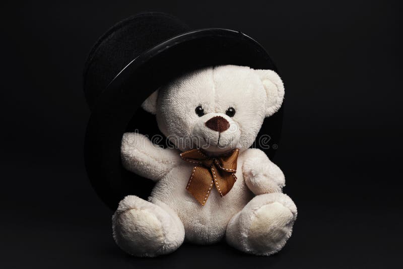 White Teddy Bear Sitting on a Dark Background Stock Photo - Image of brown,  softness: 177392194