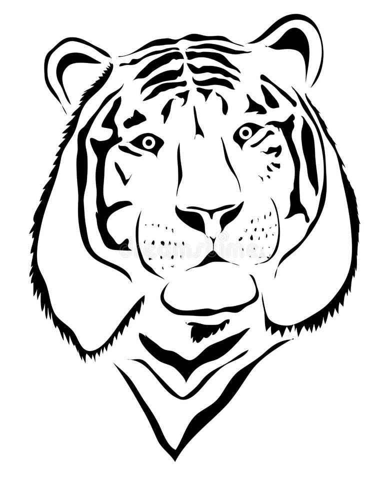 Stylized White Tiger Stock Illustrations – 1,055 Stylized White Tiger ...