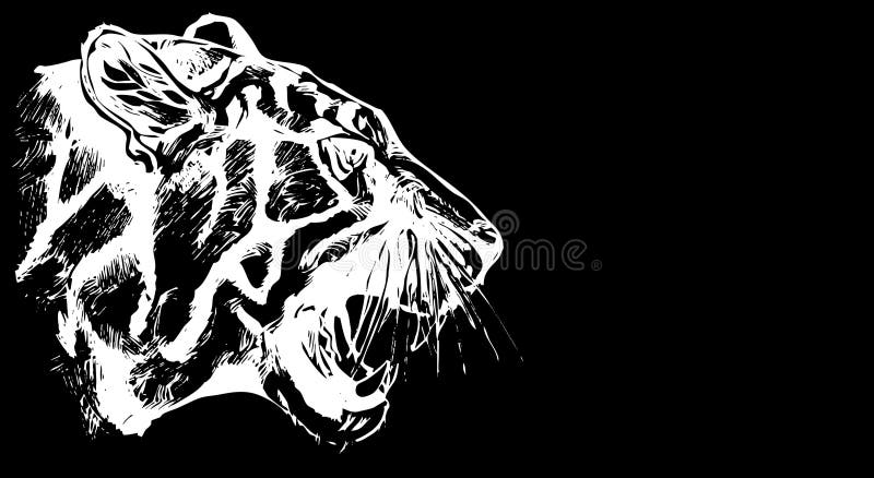 White Tiger. Black Background for Design Stock Illustration ...