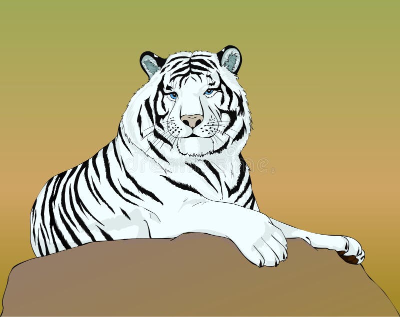 White Tiger Lies on the Stone Stock Vector - Illustration of cute, sweet:  9420821