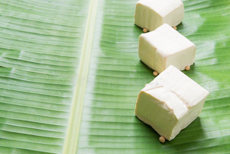 Tofu are a Good Source of Protein Stock Image - Image of asia, chinese
