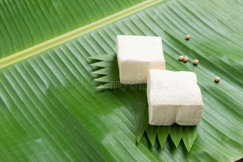 is tofu a source of protein