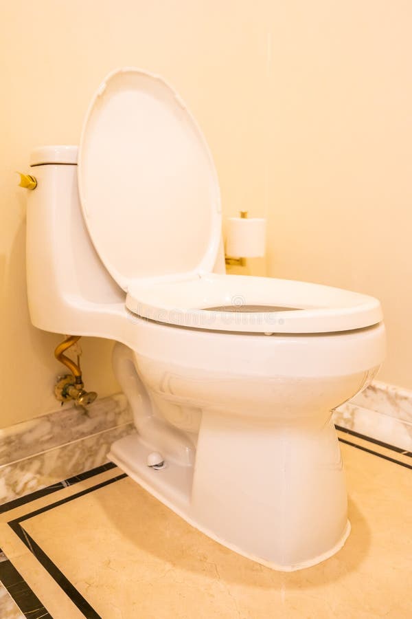 White Toilet Seat Decoration Stock Image Image of house, white 146488773