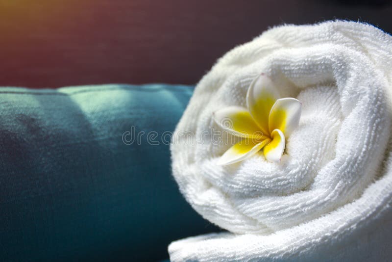 White towel and a flower of Frangipana on a dark background. The concept of SPA.