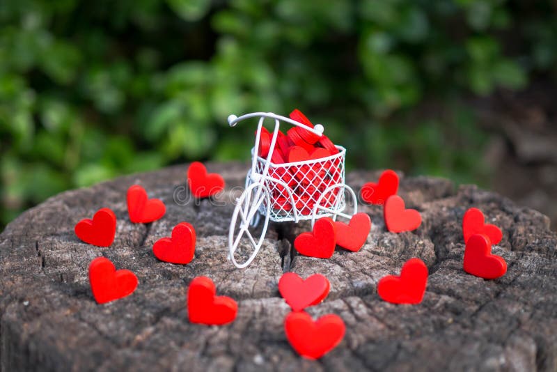 White toy bike carrying red wooden hearts. Red wood hearts fall on the wooden floor. Heart-shaped toys convey to Valentine`s Day