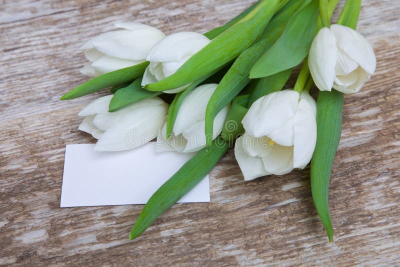 White tulips bouquet and blank greeting card stock photography White tulips bouquet and blank greeting card stock photography