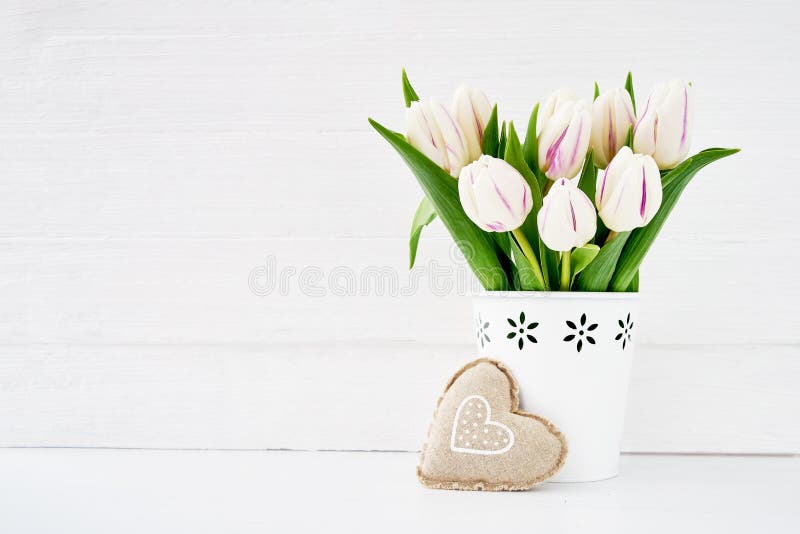 White tulips bouquet in white vase decorated with textile heart. Valentines Day concept. royalty free stock images White tulips bouquet in white vase decorated with textile heart. Valentines Day concept. royalty free stock images