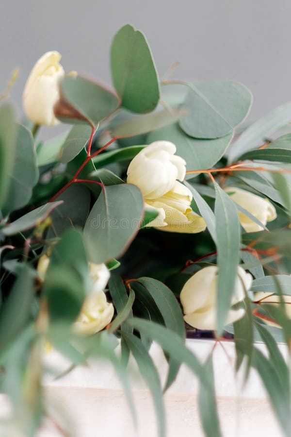 White Tulips and Eucalyptus. Delicate Spring Bouquet with Green Leaves