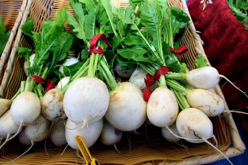 White turnips stock image. Image of organic, vegetable 98345871