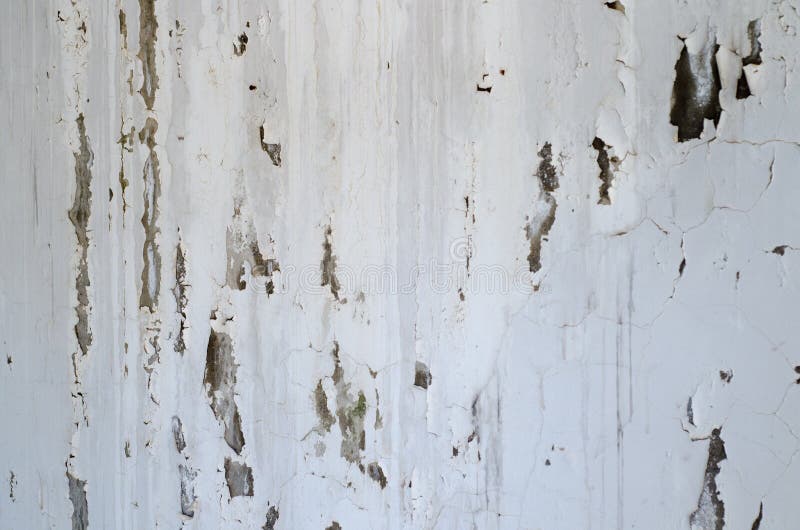 Wall with mold stock photo. Image of work, poor, home 102022612