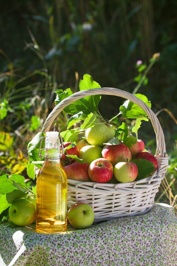 Basket with apples cider juice or vinegar in glass bottle