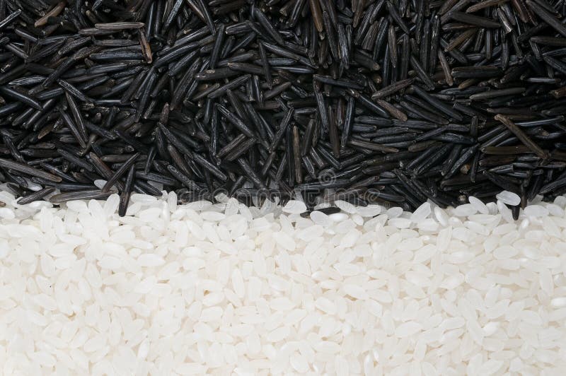 White and wild rice stock image. Image of healthy, lifestyle 23559899