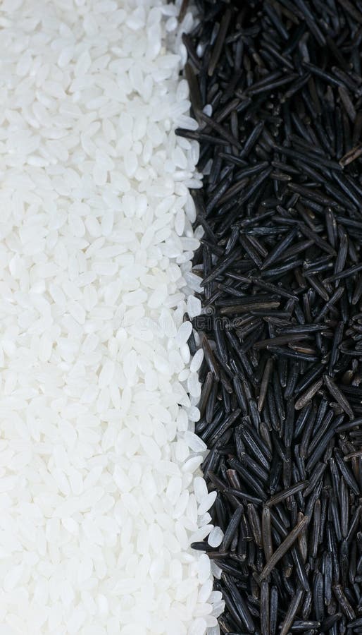 Wild Rice in Bowl Isolated on White Stock Image - Image of carb