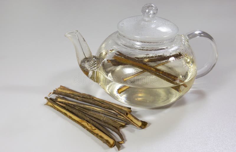 White Willow Bark Medical tea. Tea from Willow Bark close-up