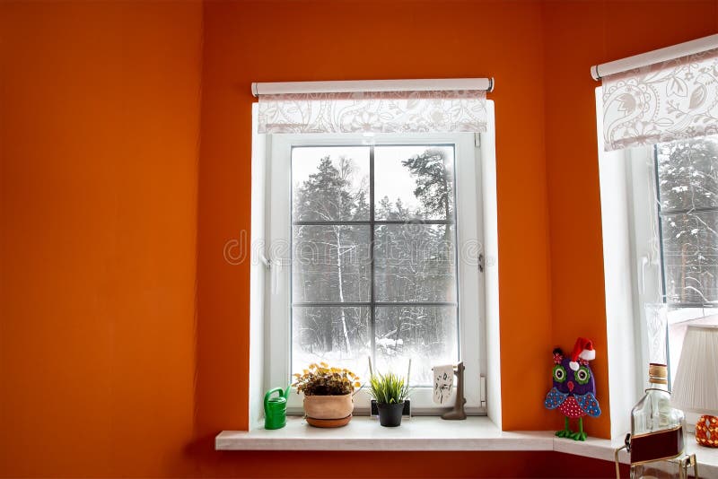 White window in orange room from which the view of the winter forest. Window to snow forest. The windows were frozen and covered