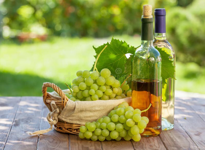 White Wine Bottles, Vine and Grapes Stock Photo Image of bunch, grape 59313428