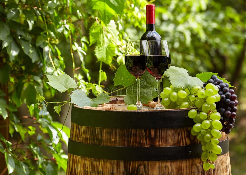 White wine with wineglass and grapes on garden terrace