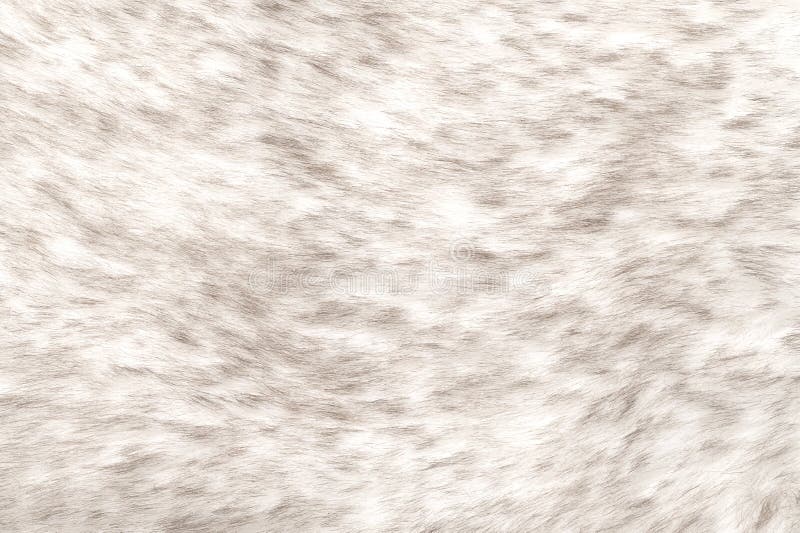 White Fur Fabric Texture Background Stock Photo, Picture and Royalty Free  Image. Image 152566653.