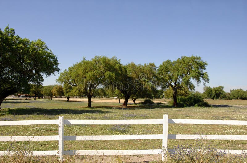 White wooden fence in farm field