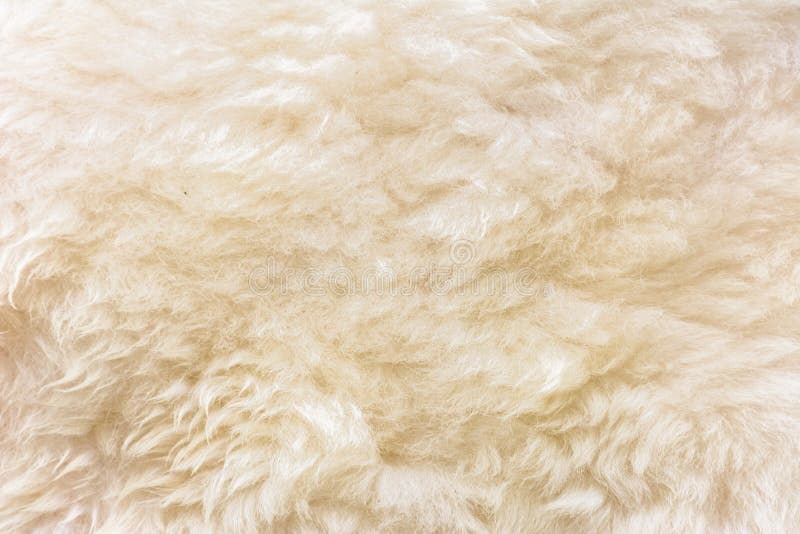 Trendy brown artificial fur texture. Fur pattern top view. Brown fur  background. Texture of beige shaggy fur. Wool texture. Flaffy sheepskin  close up Stock Photo