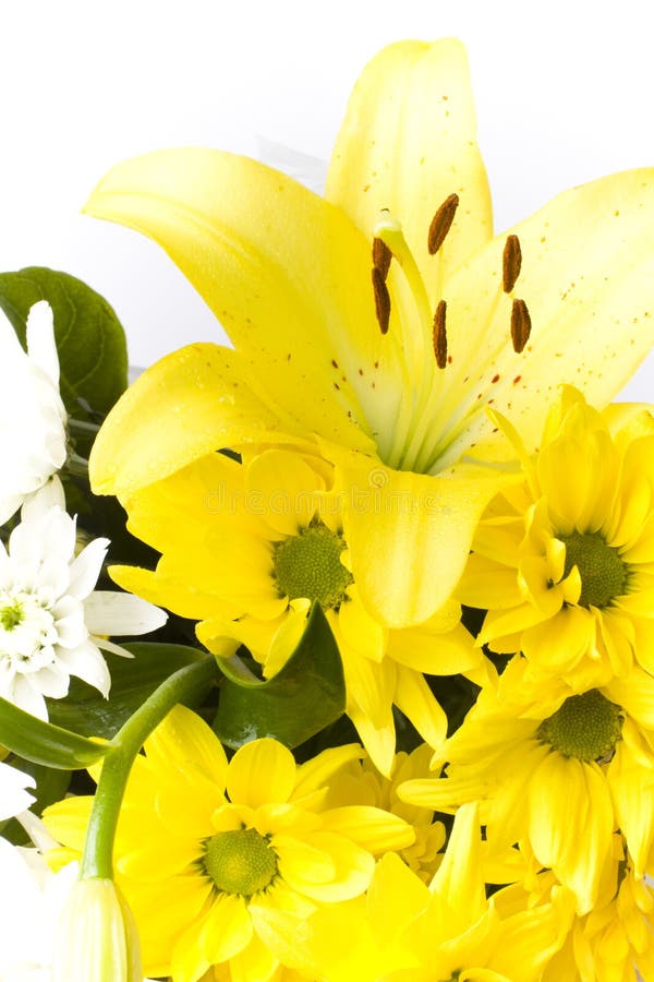 White and yellow geranium and lilium flowers