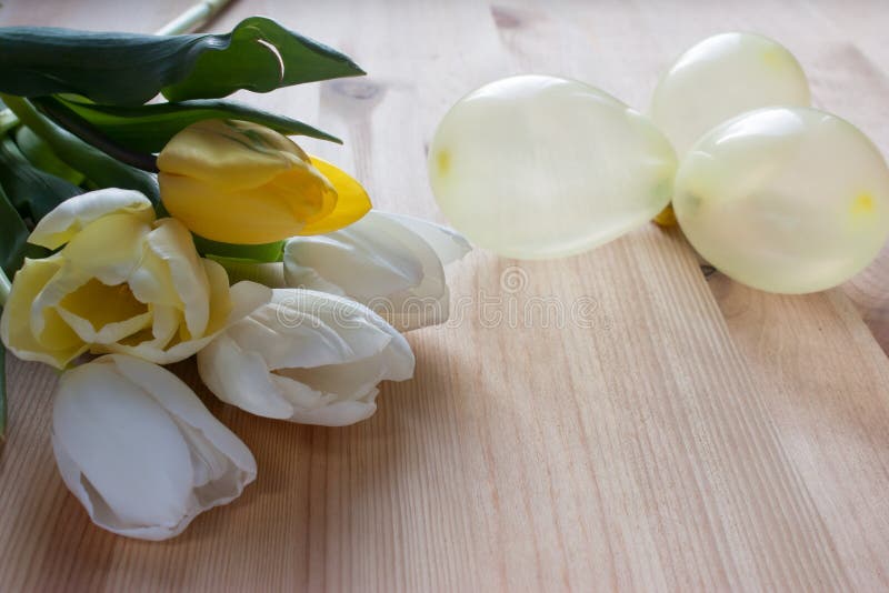 White and yellow lupans, yellow little balloons on a light wooden background stock image White and yellow lupans, yellow little balloons on a light wooden background stock image
